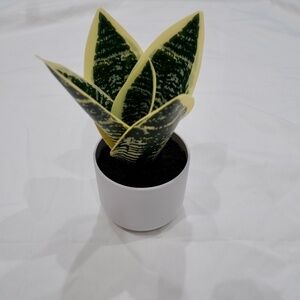 1 PC Fake Snake Plant In Pot Artificial Faux Plant